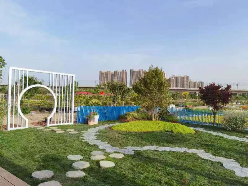 西安虹越花卉团建活动纪录篇
