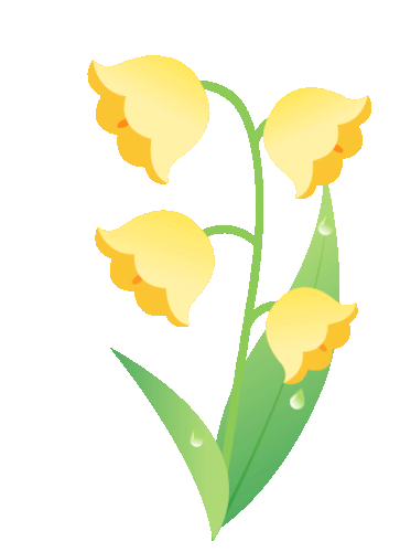 冬日绿植焕新颜 换盆换土正当时 虹彩花园专属指南
