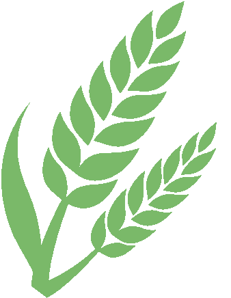 40℃暴晒拦不住！5 种花在虹之彩疯长，把夏天开成了泼墨画！