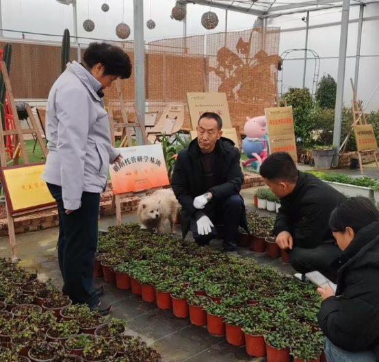 研发团队深入园区一线，实地查看绿植越冬生长情况