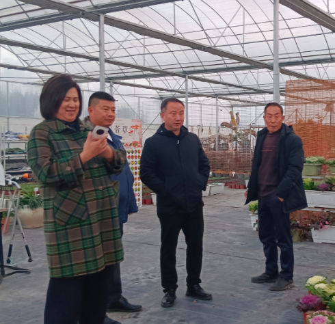 新阳农业 & 西农校友 携手虹彩集团共探农业发展新路径