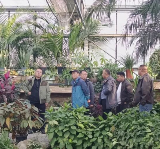 陕疆花卉产业深化互鉴 新疆乌鲁木齐植物园考察团赴西安交流！