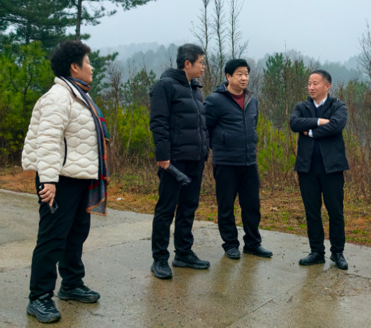 虹彩园艺集团赴柞水考察调研 深化花卉产业合作