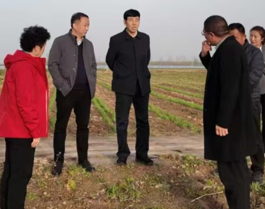 深化交流谋发展 —— 陈总与原老师赴大荔调研