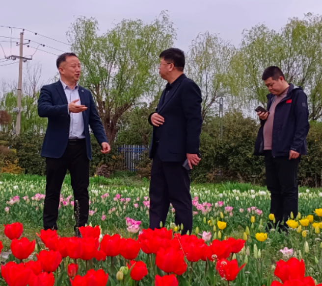 鄂托克前旗文旅考察团莅临虹彩园艺集团考察指导