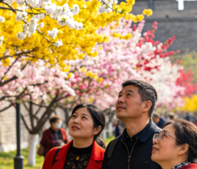 西安人速认！春天路边这 8 种花，别再叫不出名儿啦！