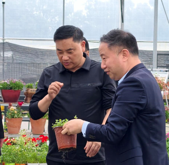 岚皋县领导莅临陕西虹彩园艺集团考察交流