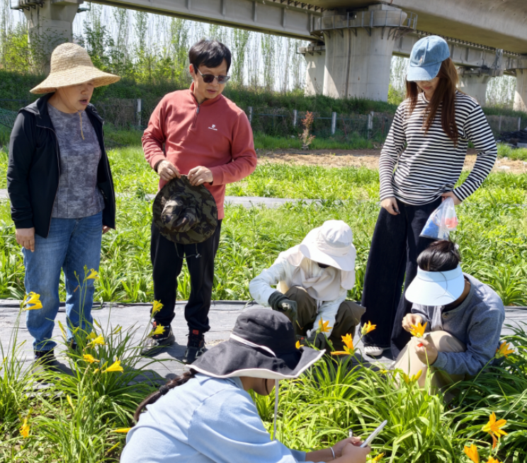 西北农林科技大学陈红武老师莅临基地开展萱草种质采样工作